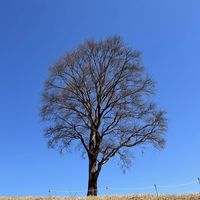⛰️北関東エリア在住者を中心とした登山サークル⛰️