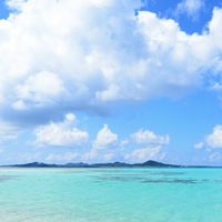 505官方網站