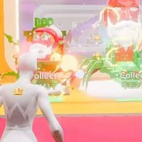 フォトナブレロ　ランクキャリー　他ゲーも