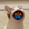 高科大新手村
