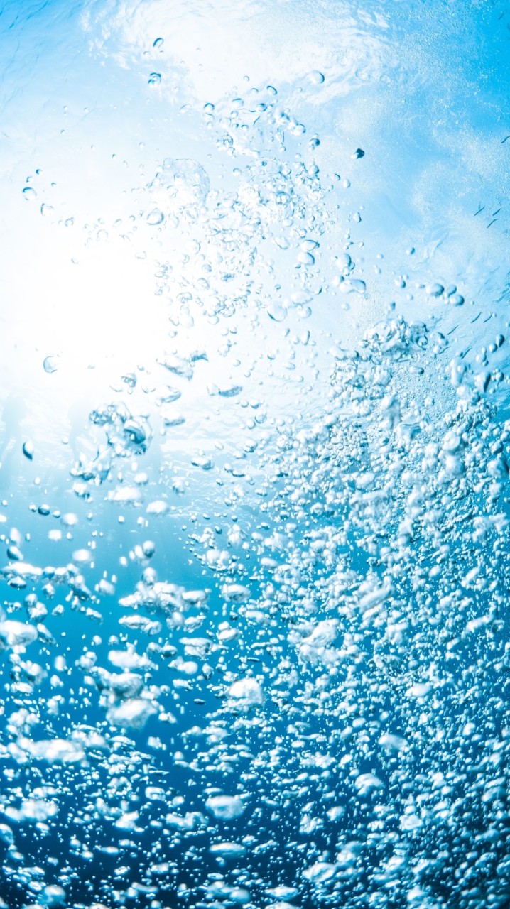 ❉曼噠魔法樂園🧙好吃好玩好生活❉