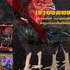 เกษมสันต์ ฟาร์ม🐓🥁