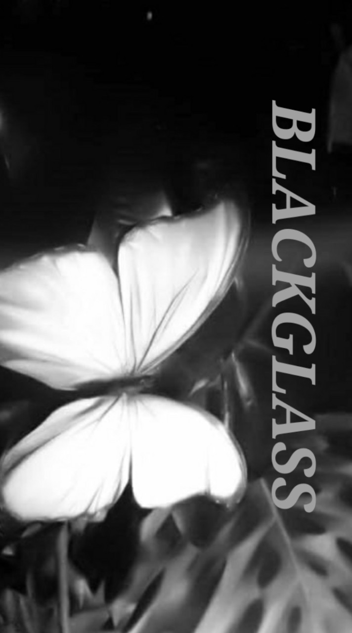 ค่าย black glass(BG)