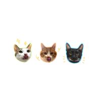 Meow_select韓國美妝代購 🇰🇷