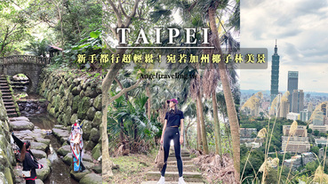 台北半日遊》虎山親山步道 宛若加州椰子林美景 遠眺台北101