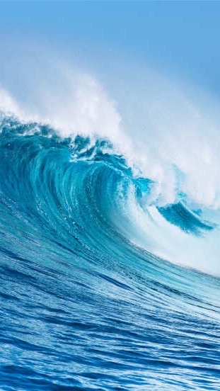 財富浪潮🌊
