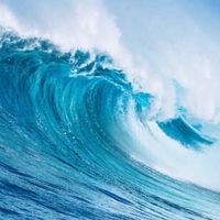 財富浪潮🌊