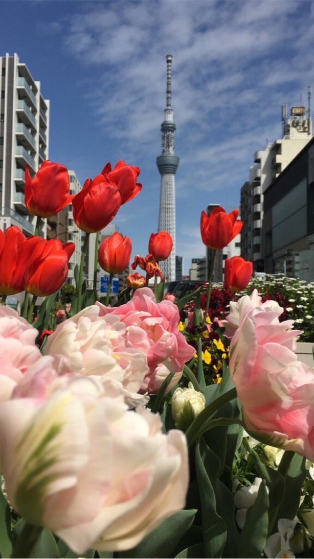 デリバリー配達員カメラ部📸全国版のオープンチャット