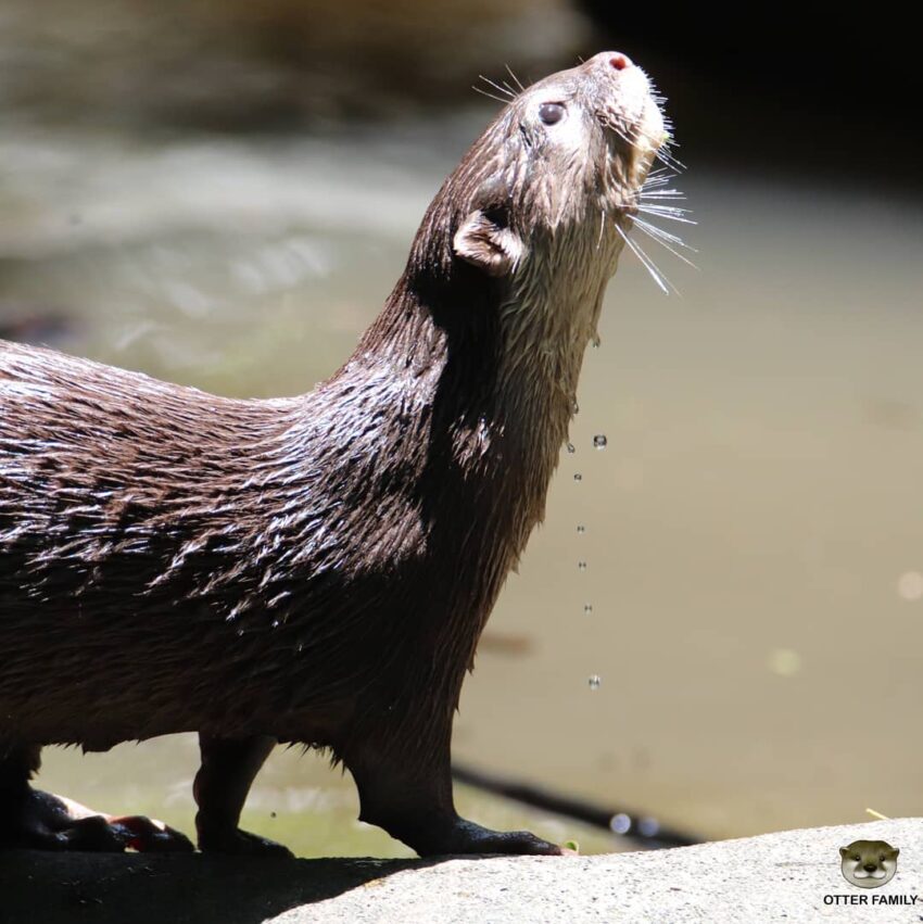 台北市,動物園,木柵動物園,臺北市立動物園,熊貓優惠,雙十八木,木柵,藝fun券店家,國旅券使用店家,台北市立動物園,台北動物園,新光證卷,動滋券使用店家,新光國小,貓熊,熊貓客服,農遊券使用店家,木柵美食,動物園門票,壽山動物園預約,企鵝英文,zoo,icash 2.0,2021動滋券使用店家,木柵動物園門票,國旅券使用店家查詢,台灣昆蟲館,熊貓優惠卷,熊貓客服電話,臺北市,taipei zoo,熊貓優惠券,藝fun券使用店家,動物英文,孟加拉貓,panda 優惠,壽山動物園門票,動滋券使用店家台中,動滋券店家,沙漠駱駝,伊貝特,台北木柵動物園,藝fun券使用店家查詢,7-11 啤酒,熊貓 優惠,新竹動物園門票,一木日,動物園營業時間,動滋券使用範圍,熊貓客服電話2022,台中動物園,國旅券官網,衛生棉 英文,2022動滋券使用店家,熊貓客服電話2021,台灣動物園,麥當勞營業時間,台北市動物園,熊猫,藝fun券買什麼,非洲小孩,實習生 英文,國旅券登記,新竹昆蟲館,木柵動物園營業時間,滿意寶寶集點,鴕鳥 英文,台北動物園門票,2021藝fun券店家,熊貓折扣,動滋券使用店家查詢,農遊券抽獎,藝fun券使用時間,熊貓關站,戀戀天湖,園遊會 英文,99峰動物園,昆蟲 英文,國旅券 餐券,夜間動物園,木柵動物園天氣即時影像,國旅券申請,螢火蟲 英文,教師節快樂英文,鸚鵡價格,生日優惠餐廳台北,禮拜一夜市,科工館門票,動物圖片,麥當勞 漲價,熊貓申請,投票幾點開始,7-11啤酒,壽星 英文,藝fun券餐廳,滿月圓門票,快樂鳥窩,動物園夜間,谷關天氣即時影像,國旅券吃飯,動滋券2021使用店家,國 旅券 使用 店家,麥當勞分享餐2022價格,sika,壽山動動園門票,打折 英文,國旅券使用限制,壽星優惠2022台北,10月,木柵動物園交通,木柵動物園停車場,木柵動物園停車,木柵動物園門票,木柵動物園營業時間,貓熊,無尾熊,企鵝,馬來貘,獅子,老虎,黑熊,長頸鹿,斑馬,鴕鳥,動物園地圖,木柵動物園地圖,臺北市立動物園地圖,台北市立動物園地圖,台北動物園地圖,