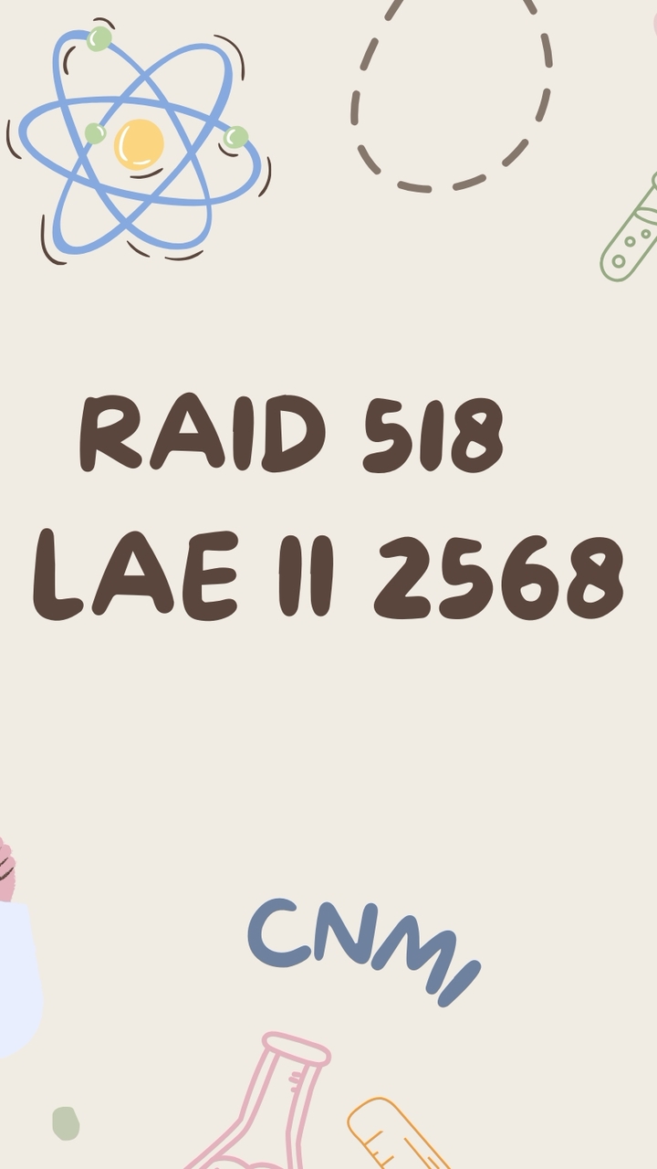 RAID 518 LAE II 2568