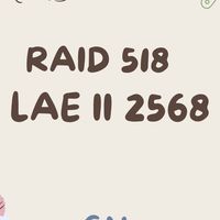 RAID 518 LAE II 2568