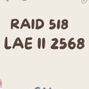 RAID 518 LAE II 2568