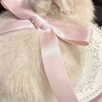 𓍢ִ໋🌷͙֒ แม่ทีมตัวแทนรับโยนร้าน 𝑺𝒉𝒆𝒓𝒍𝒚𝑷.🍥ɞ˚‧｡⋆