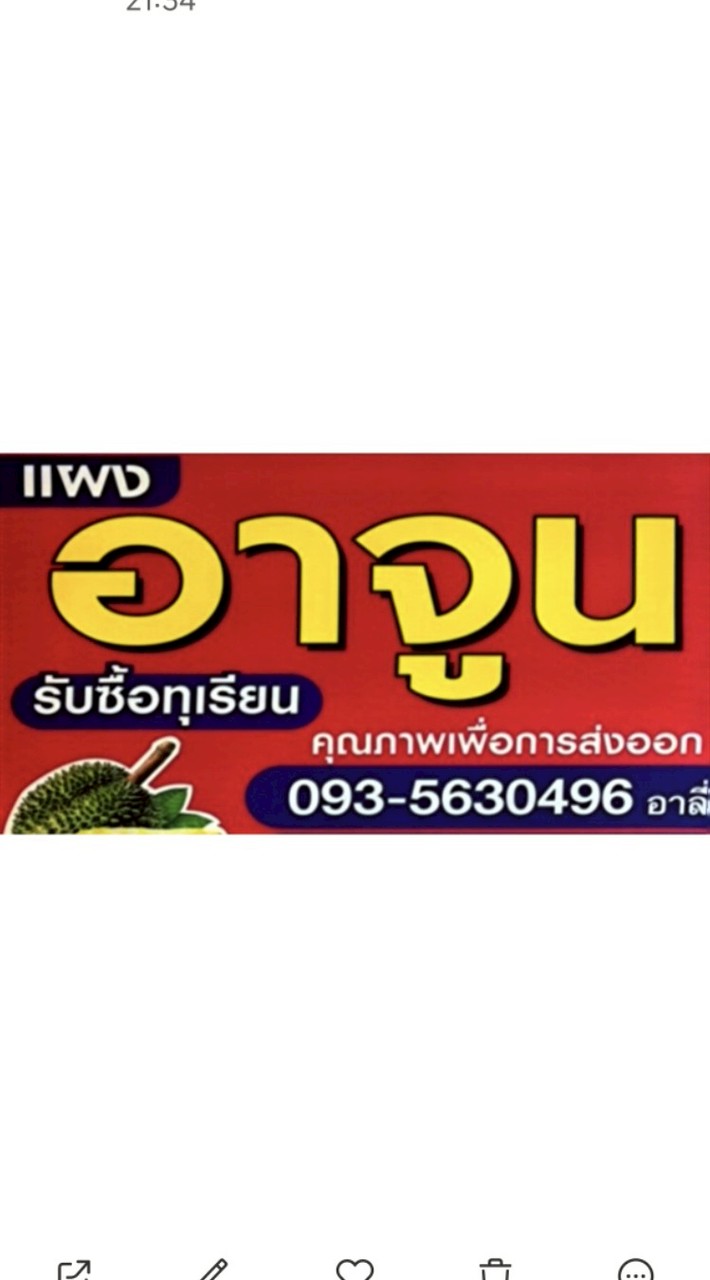 แผงทุเรียนอาจูน