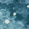 アライトモーションスマホ民来て！！