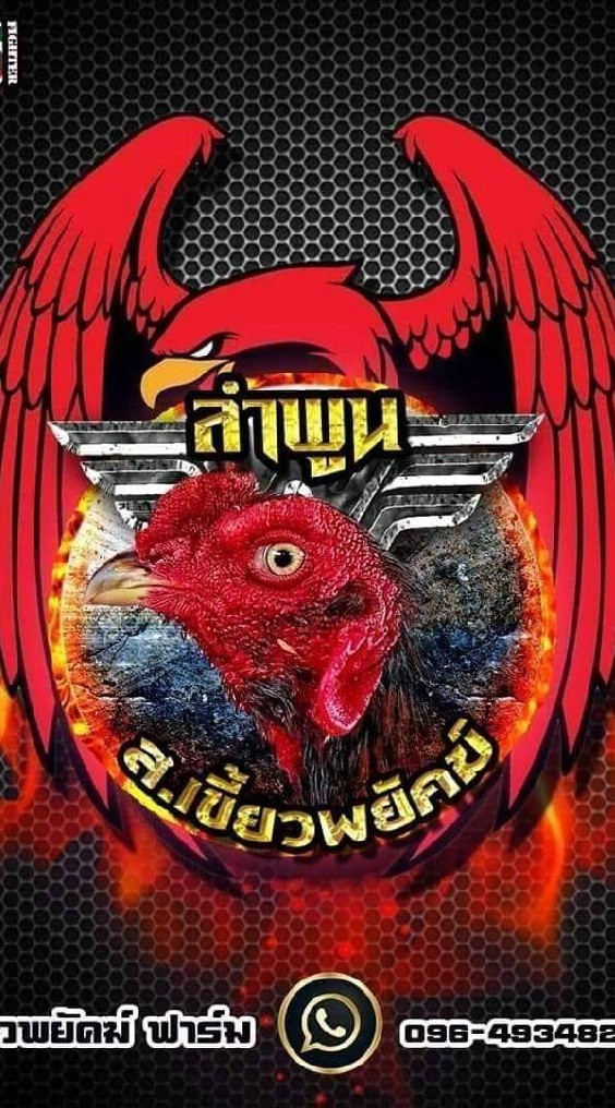 ซุ้ม'ส.เขี้ยวพยัคฆ์  (สายเลือด ก๋อยง่อนเบอร์ แข้งโหดๆ)