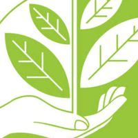Go green chamber