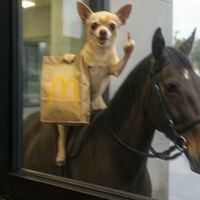 予習復習