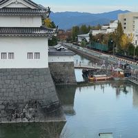 しずれき解説班情報共有会