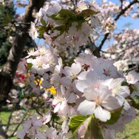 🌸障がい者グループホーム🌸
