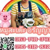 หมูสะเต๊ะ อรัญญาราชวัตร