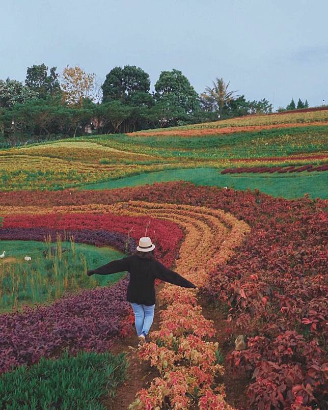 5 Wisata Bogor Yang Full Color Bikin Liburanmu Seindah Pelangi