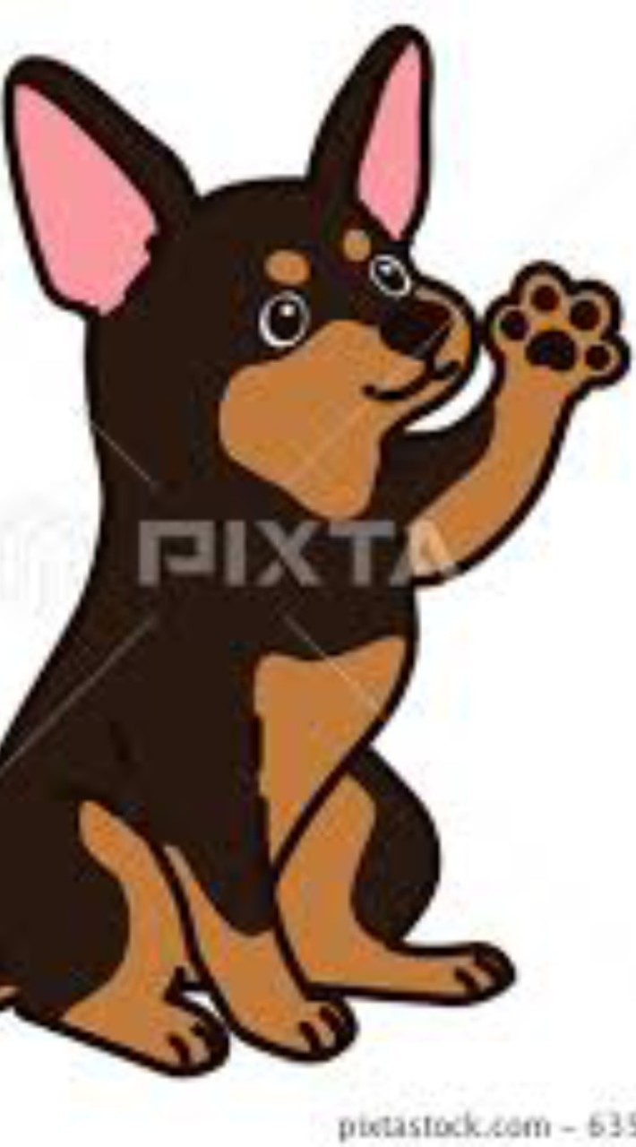 迷你小鹿犬交流團