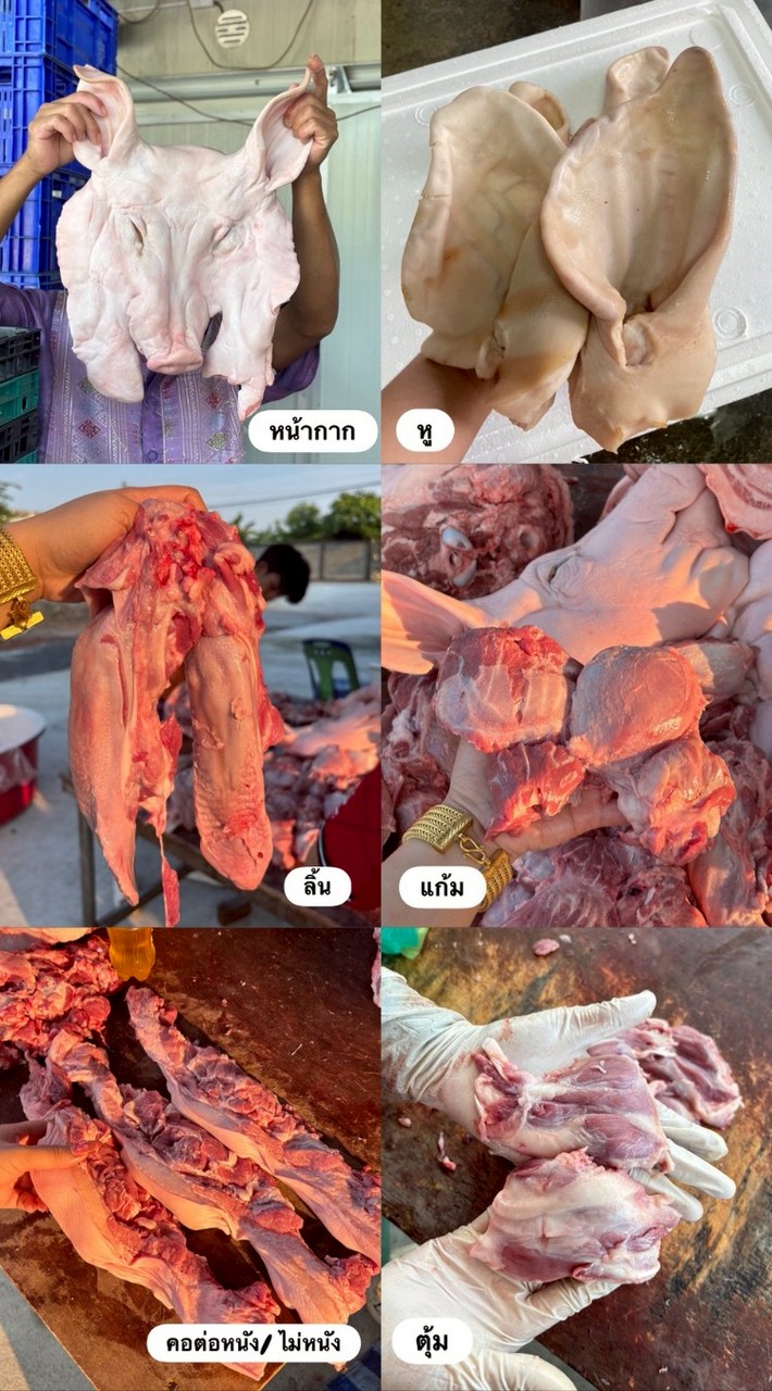 ร้าน ร่ำรวยขายหมูสด ราคาส่ง ขั้นต่ำ 5 กก