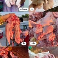 ร้าน ร่ำรวยขายหมูสด ราคาส่ง ขั้นต่ำ 5 กก