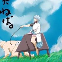 🍭銀魂🍭ゆるなり教室‼️はしゃげ‼️騒げ‼️楽しめ‼️💋