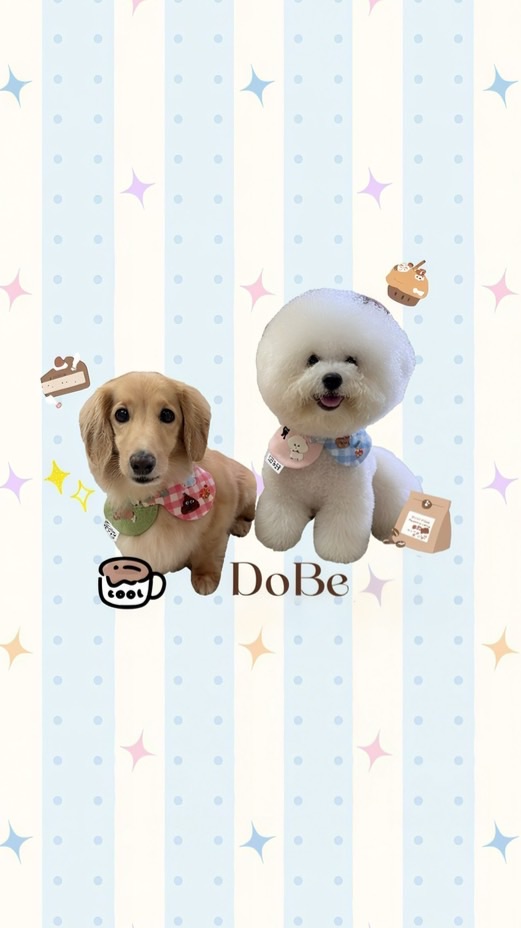 Dobe寵物零食