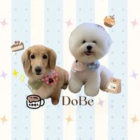 Dobe寵物零食