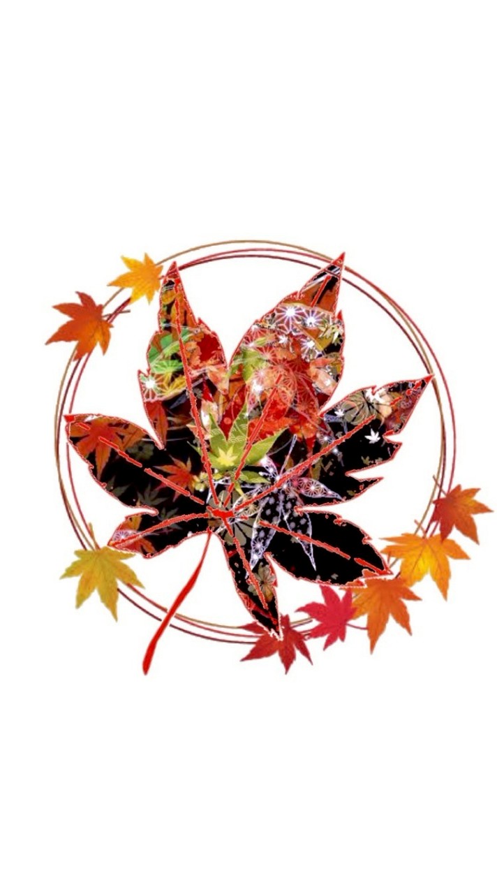 🍁めーぷる🍁