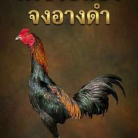 ซุ้มเพชรยืนยง พม่าพัฒนา