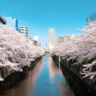 從超人氣賞櫻景點到私房賞櫻地，2023年最新版東日本賞櫻名所大盤點！