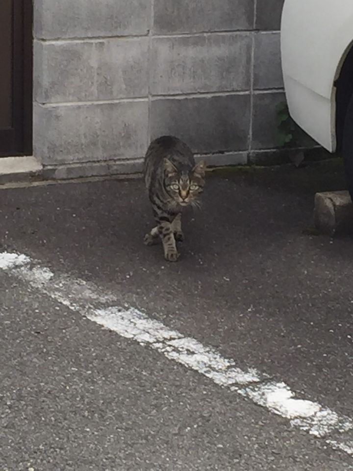 Mixed Media Feed 佐々木酒造 Line Official Account