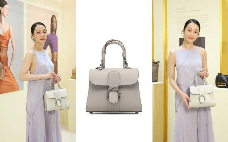 Shop DELVAUX Brillant Handbags (AA0406AAU014ZDO, AA0406AAU010WDR,  AA0406AAU047IPA, AA0406AAU028JPA, AA0406AAU024MDO, AA0406AAU099ZPA) by  estateria