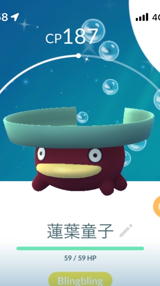 今天pokemon了嗎