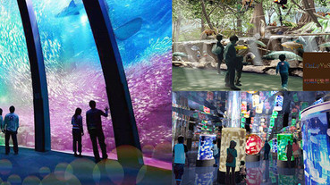 (國內旅遊桃園)【Xpark水族館】日本首座海外分館必去,探討生態生活的都會型水族館,水族公園