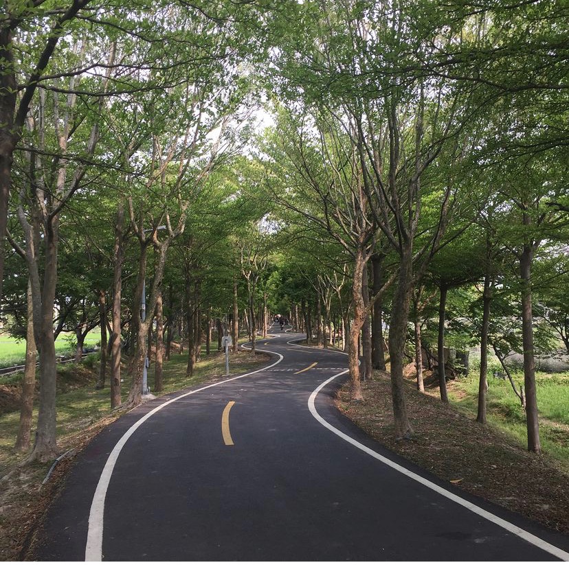 圖片提供/潭雅神綠園道-LINE熱點用戶