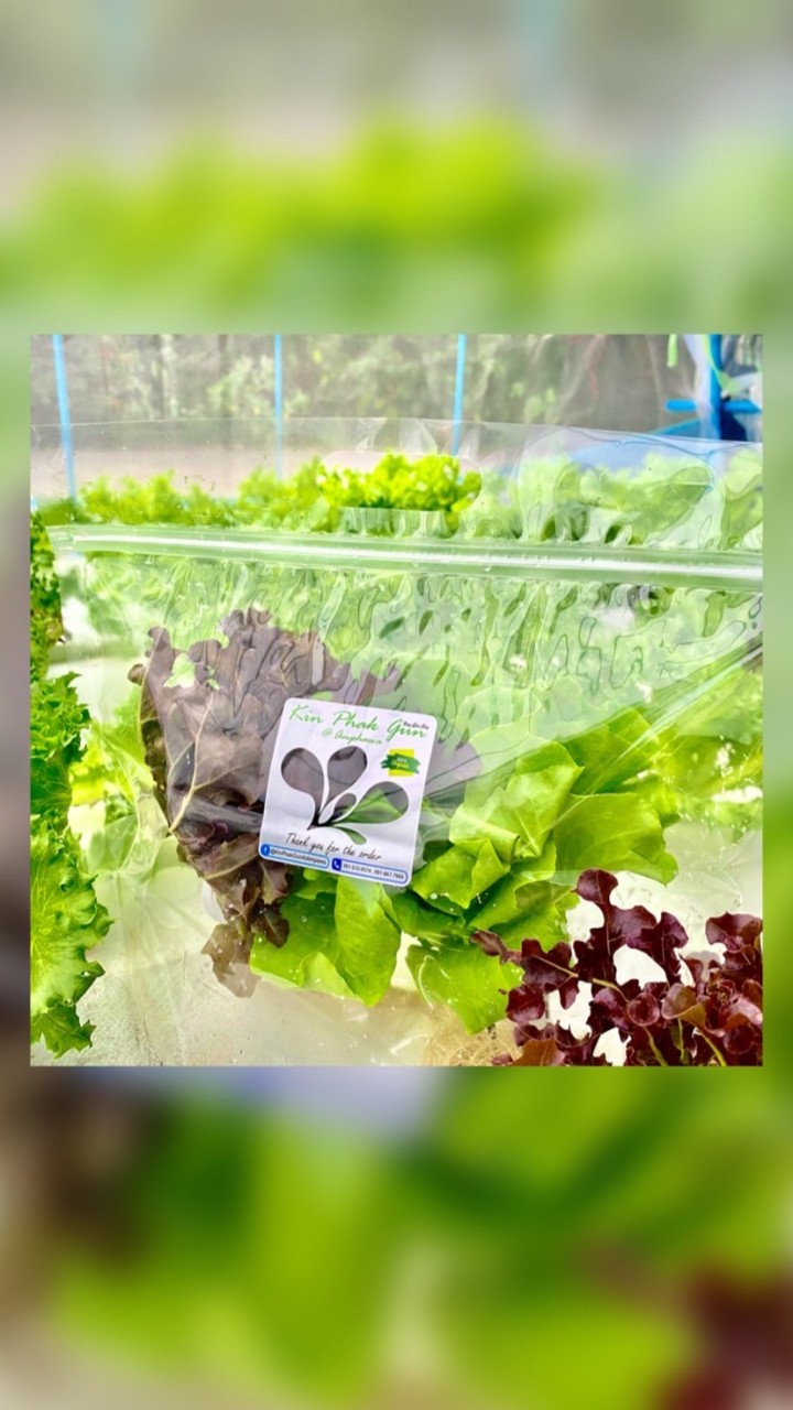 🛍ถุงใส่ผักไฮโดรโปรนิกส์ 🥬