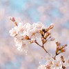 難病者や障害者(障がい)持ち主の会