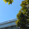 【高校生】全国学生趣味部！