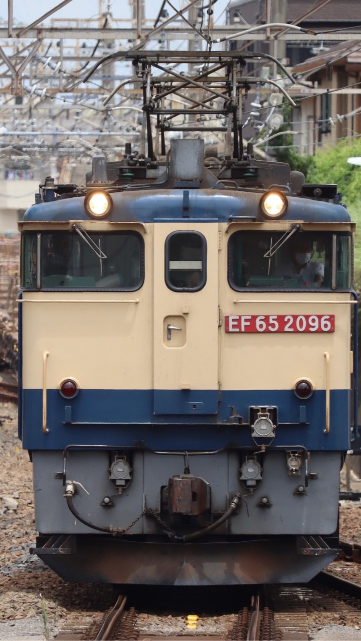 JR東日本管内のカツいスジ共有