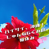 ハイサイ、沖縄！じゅんな6くみの夏休み