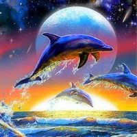 同世代🐬癒しのトーク🐬50代60代