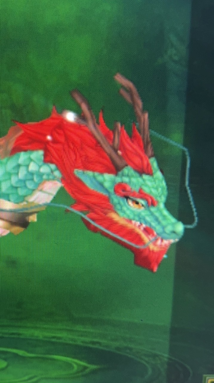 59揪團