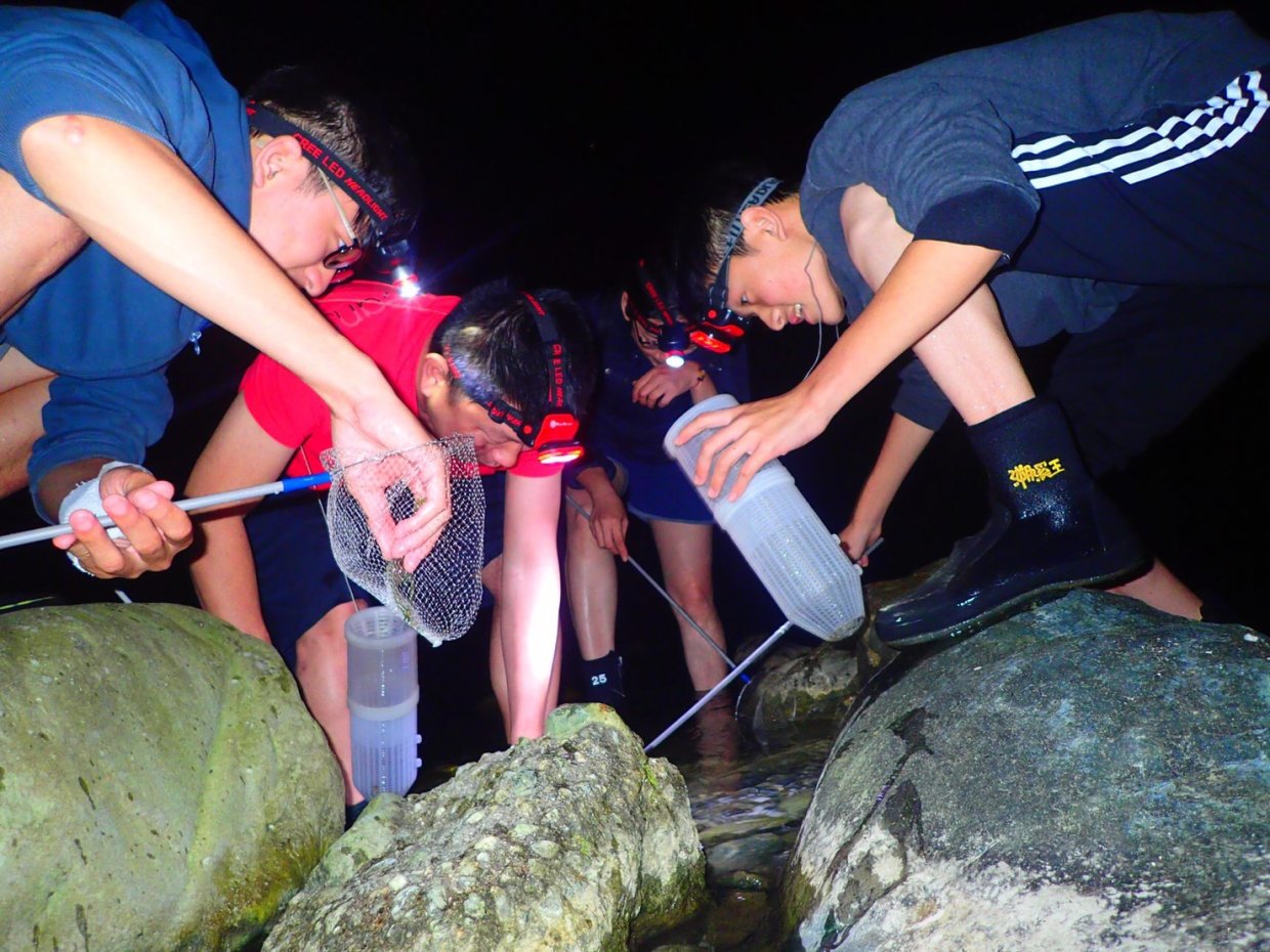 夜貓子走吧！捨不得睡的夜晚，不如來趟有趣又好玩的夜間體驗