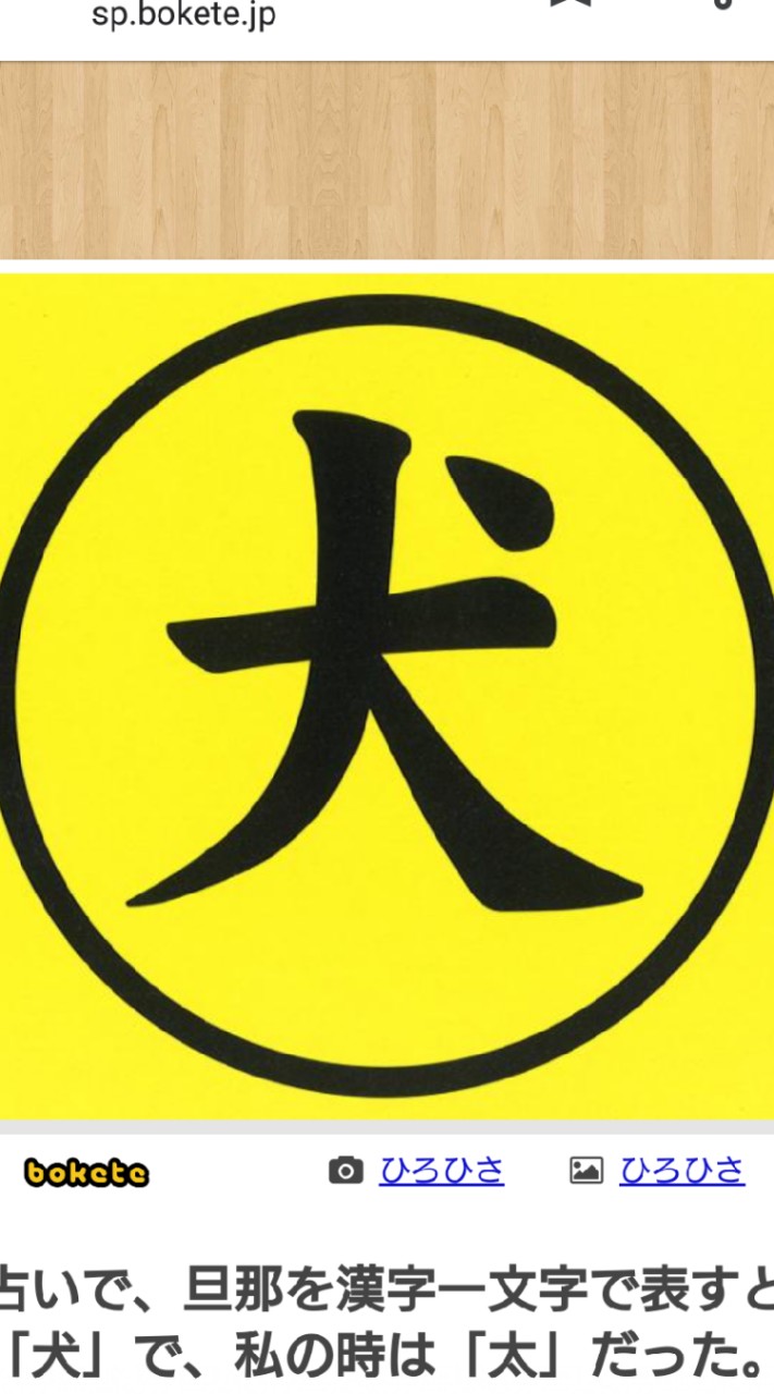 愛🐶家多めのパニック休憩室☘️