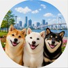 湾岸エリア柴犬の会(勝どき・月島・晴海・豊洲・有明)🐕